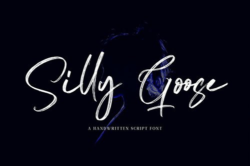 Silly Goose - Handwritten Font YR