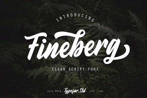 Fineberg