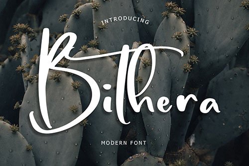 Bithera Modern Font