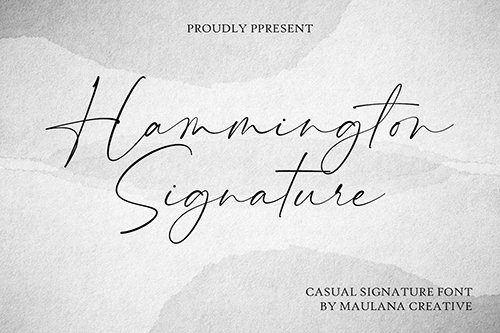 Hammington Casual Signature Script Font