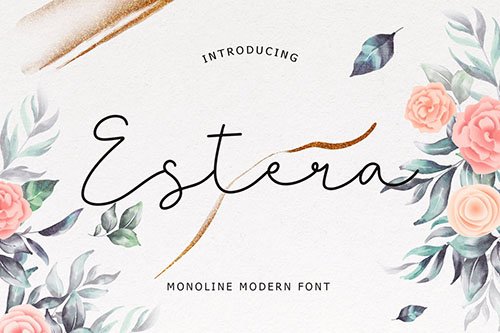 Estera Monoline Modern Font