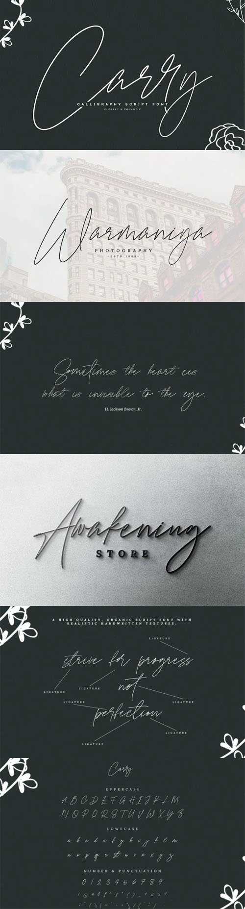 Carry - Calligraphy Script Font