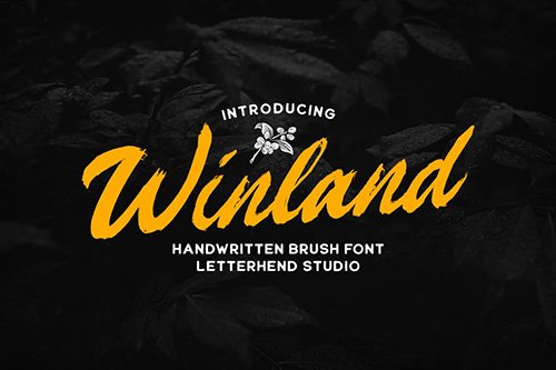 Winland - Brush Font
