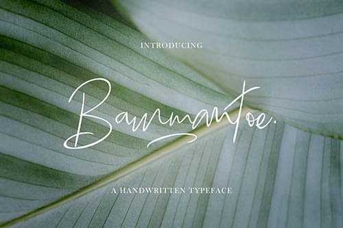 Bammantoe Typeface