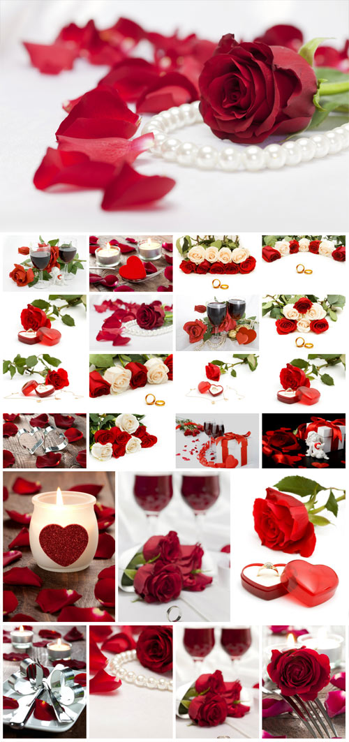 Romantic stock photos with roses and rings