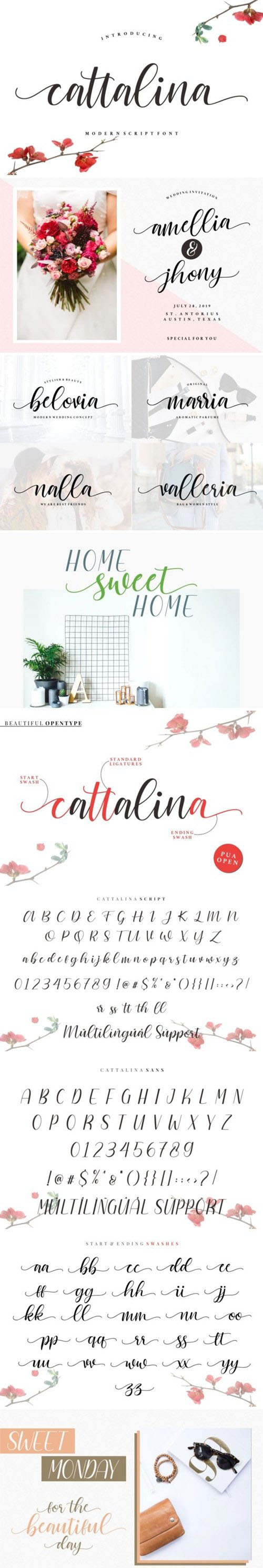 Cattalina Modern Script Font
