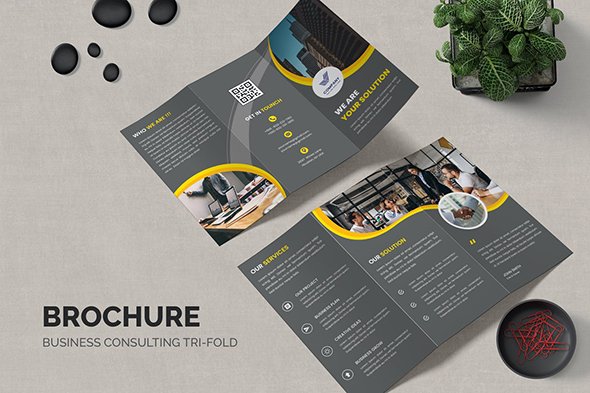 Business Agency Tri-Fold Brochure