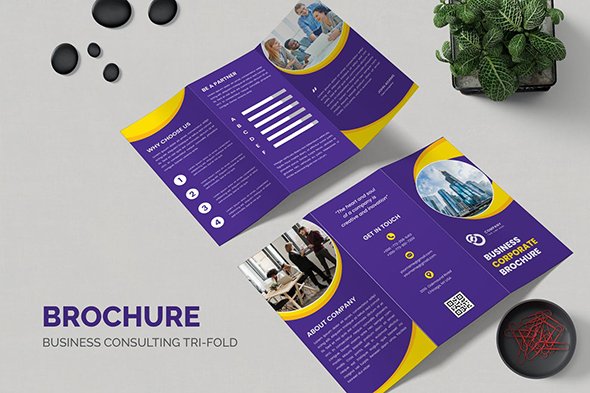 Brochure Trifold Business Marketing