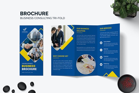 Brochure Business Trifold Template