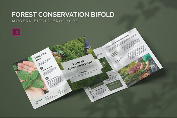 Forest Conservation - Bifold Brochure