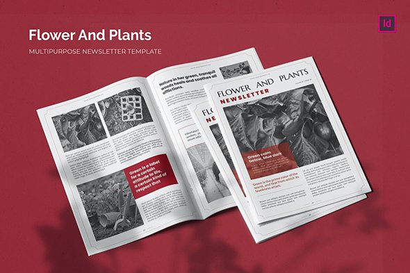 Flower and Plants - Newsletter Template