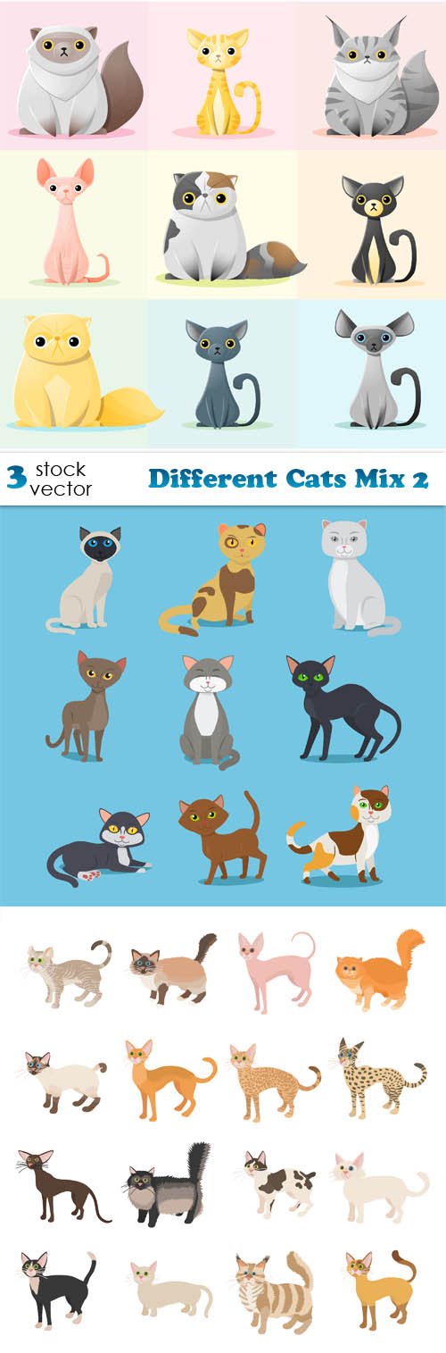 Vectors - Different Cats Mix 2