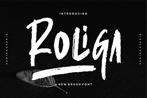 Roliga | A New Brush Font