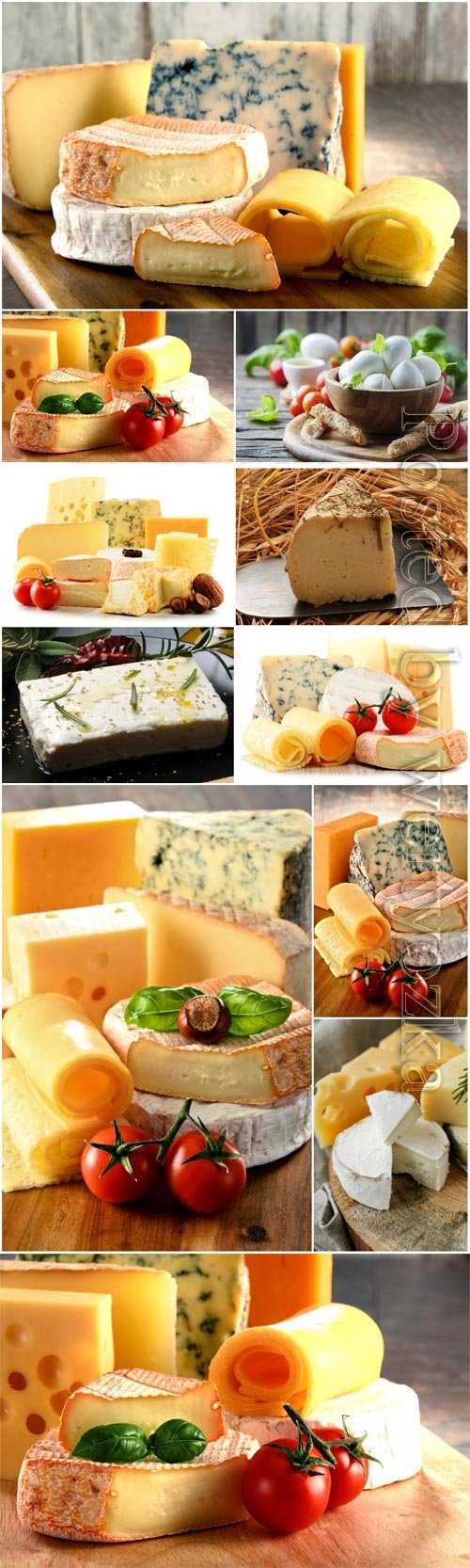 Cheese and tomatoes stock photo