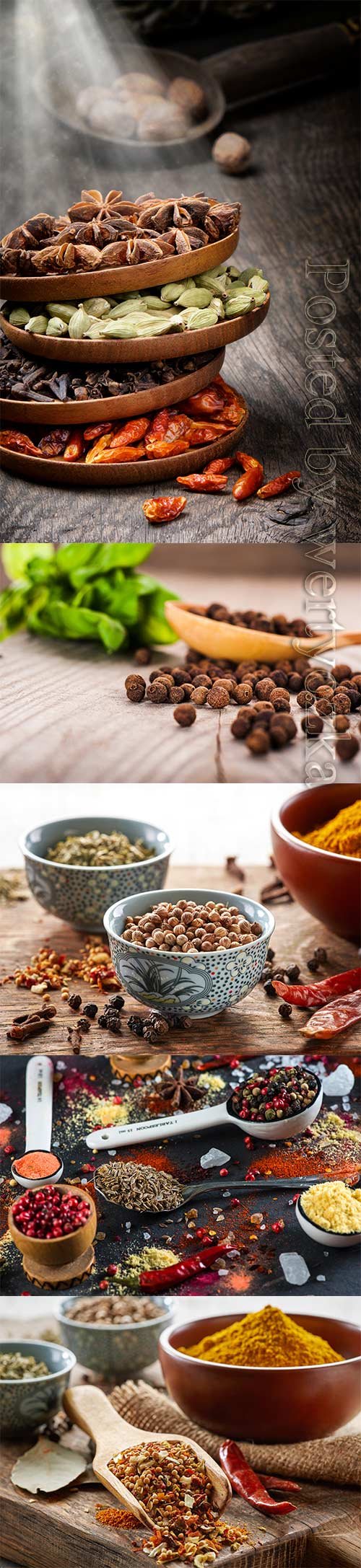 Various spices in various dishes stock photo