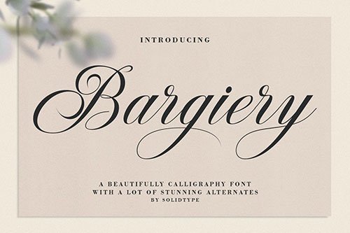 Bargiery Script