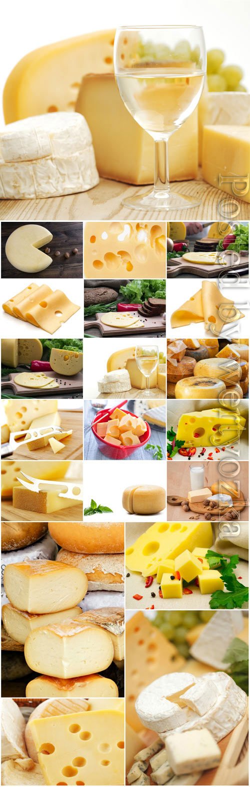 Cheese and glass of wine stock photo