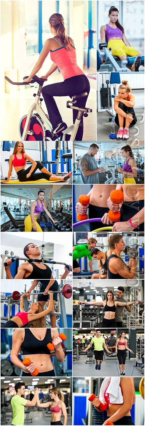 People exercising in the gym stock photo