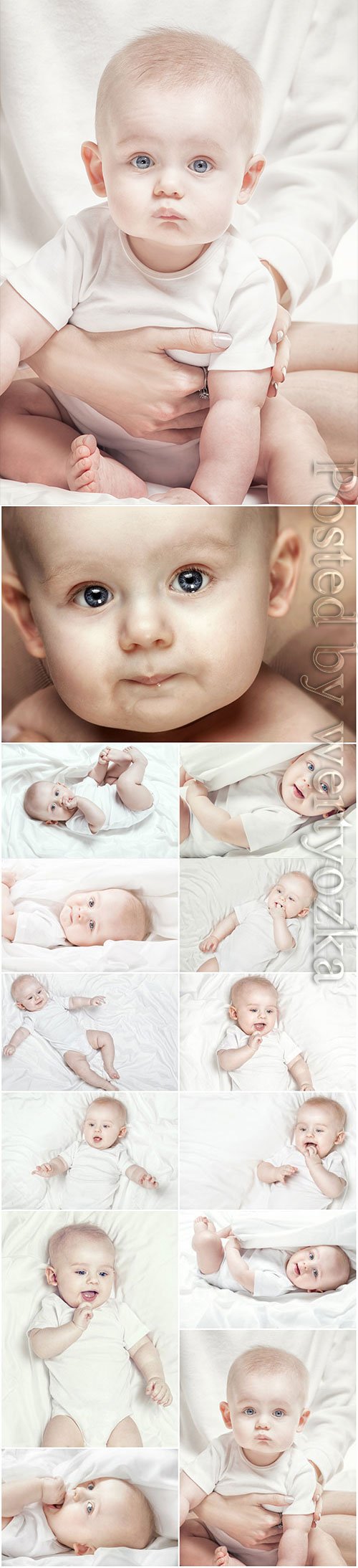 Little cute boy stock photo