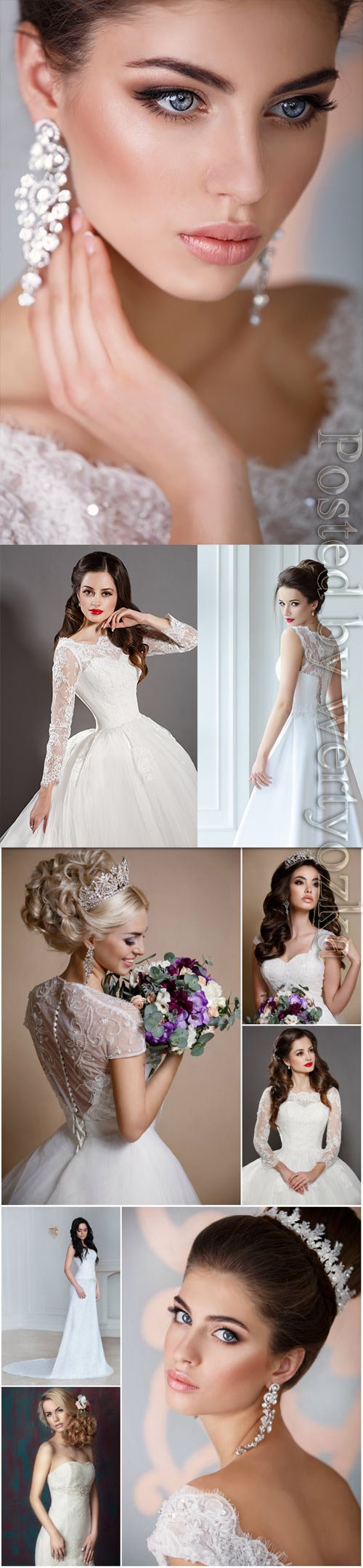 Brides in luxurious dresses stock photo