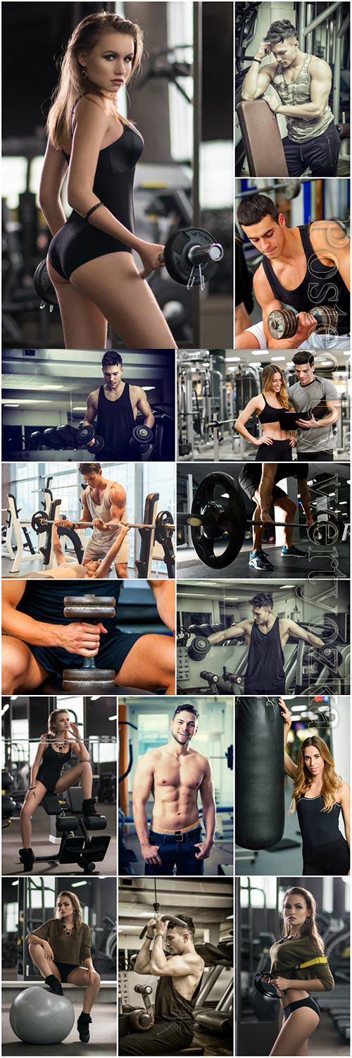 Men and girls in gym stock photo