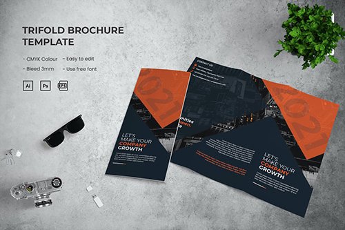 Company Growth - Trifold Brochure