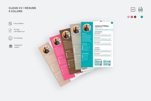 Resume Template 5 Colors