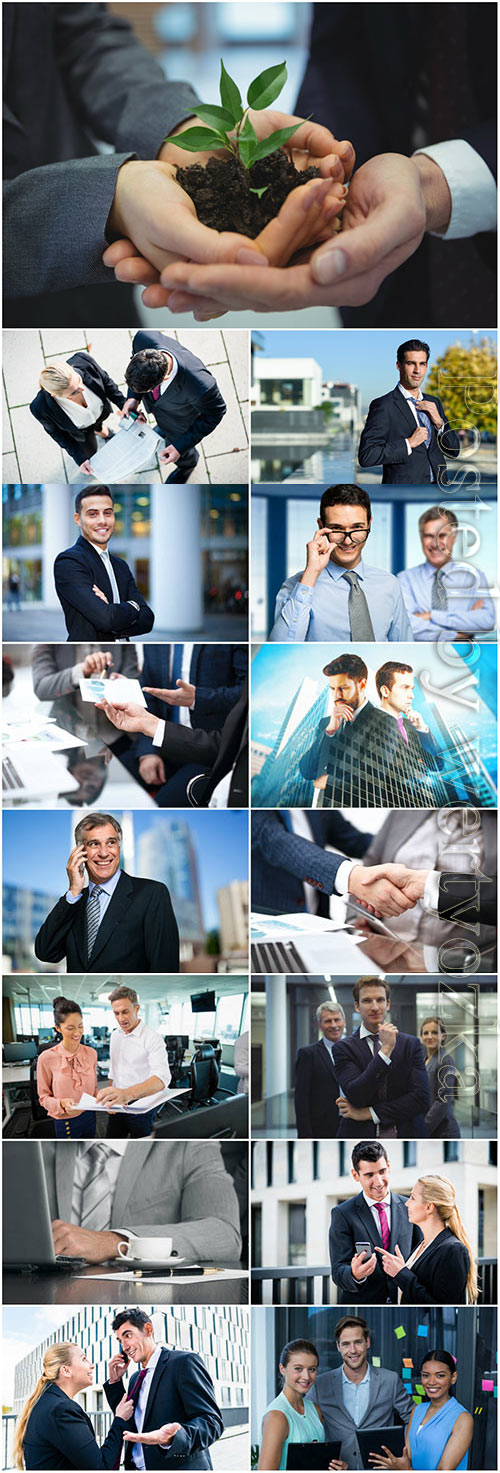 Beautiful and successful business people stock photo