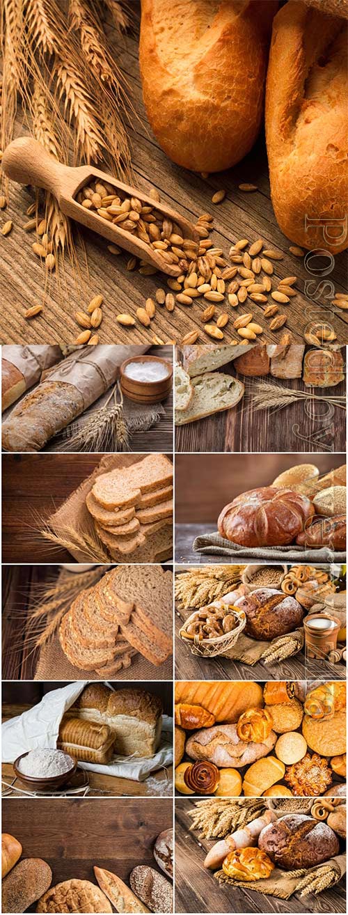 Bread, buns, spikelets of wheat stock photo