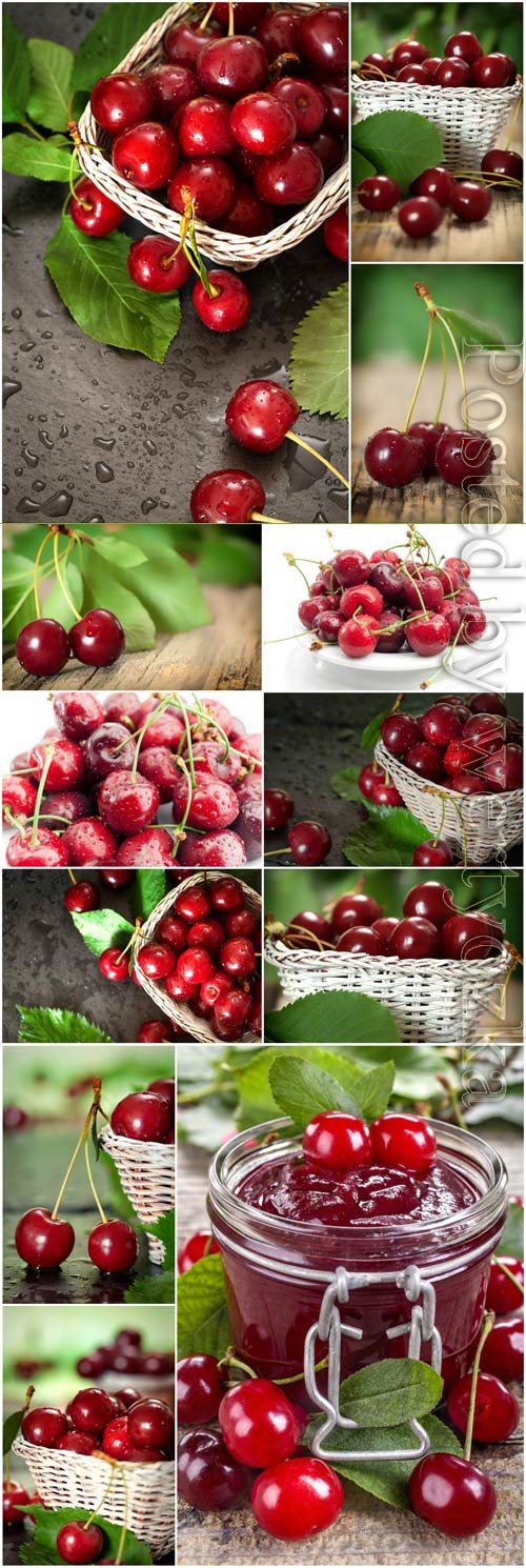 Fresh red cherries stock photo