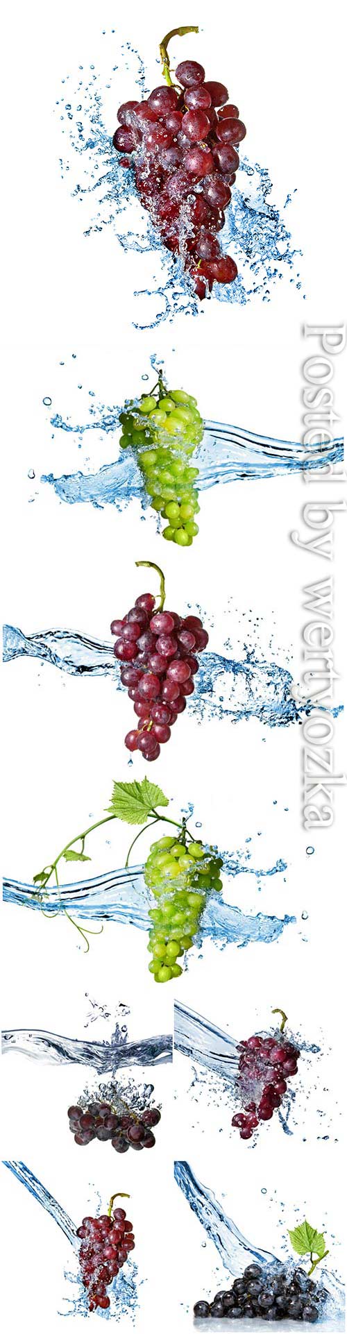 Grapes splashing water stock photo