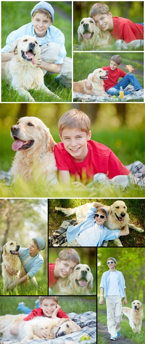 Boy with a dog in nature stock photos