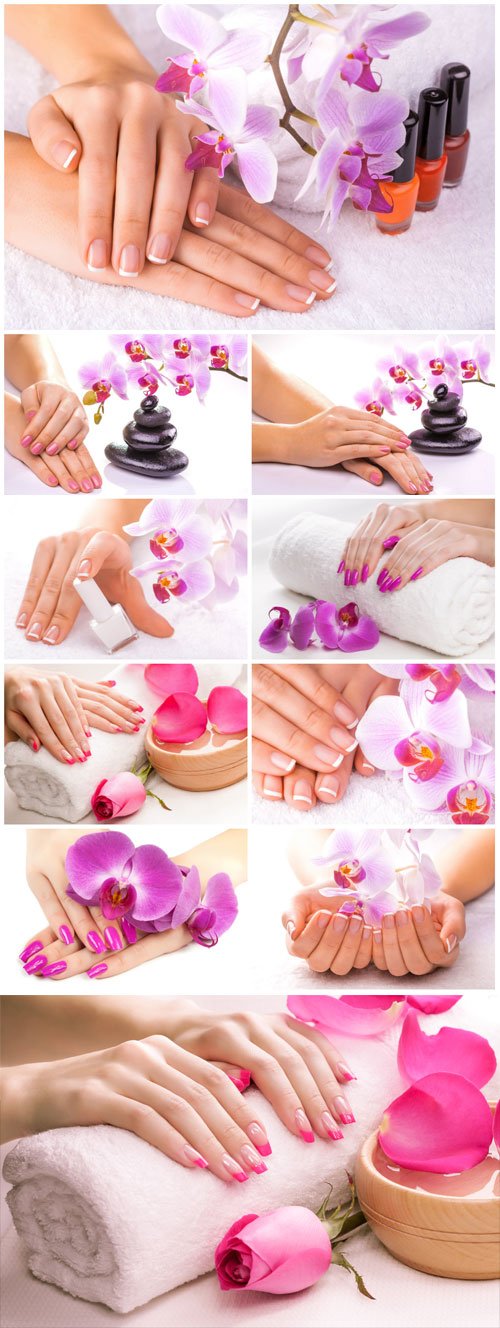 Female manicure, female hands and orchid flowers stock photo