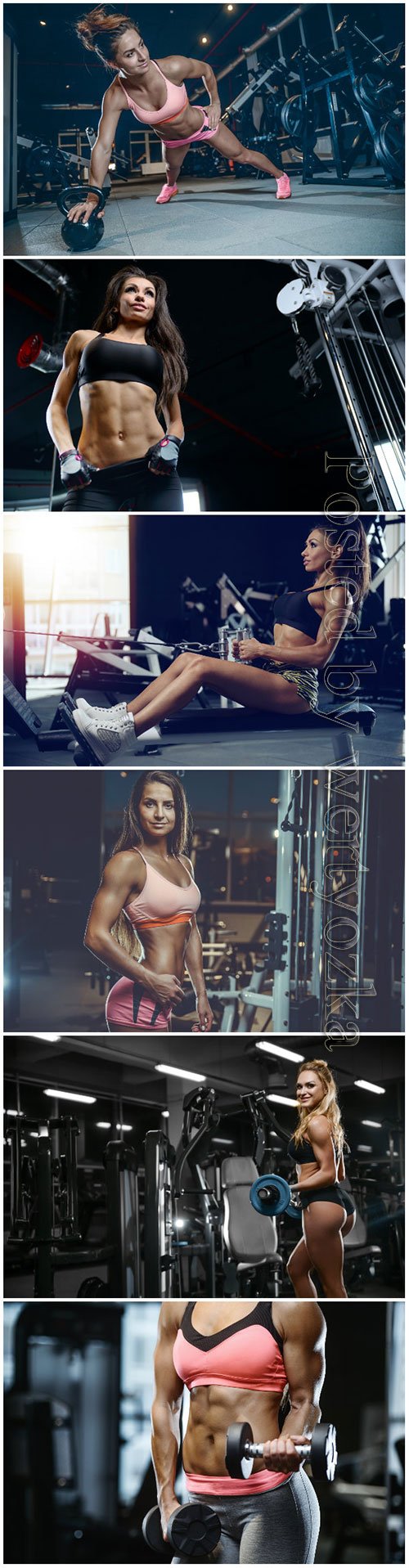 Beautiful girls in the gym