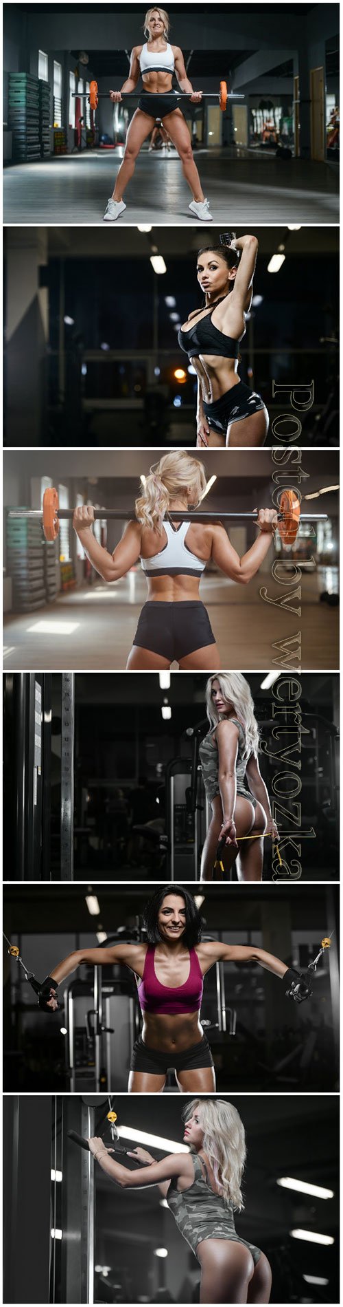 Girls in the gym, beauty and health