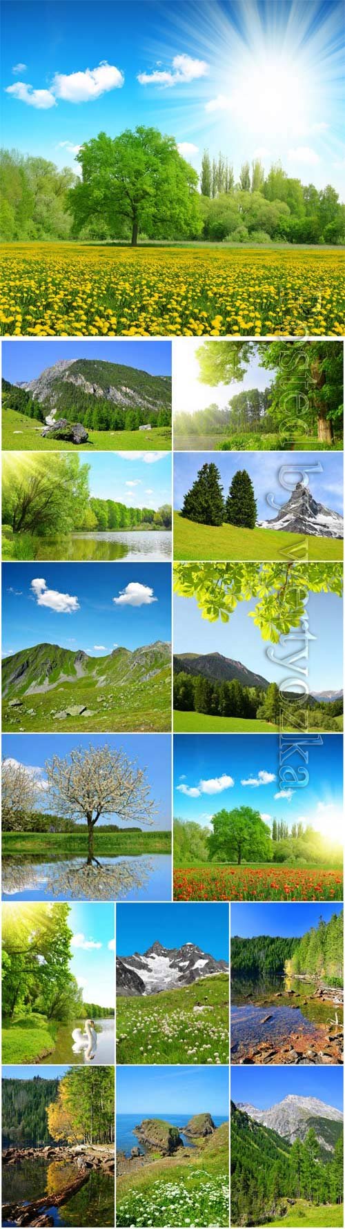 Beautiful nature in summer season stock photo