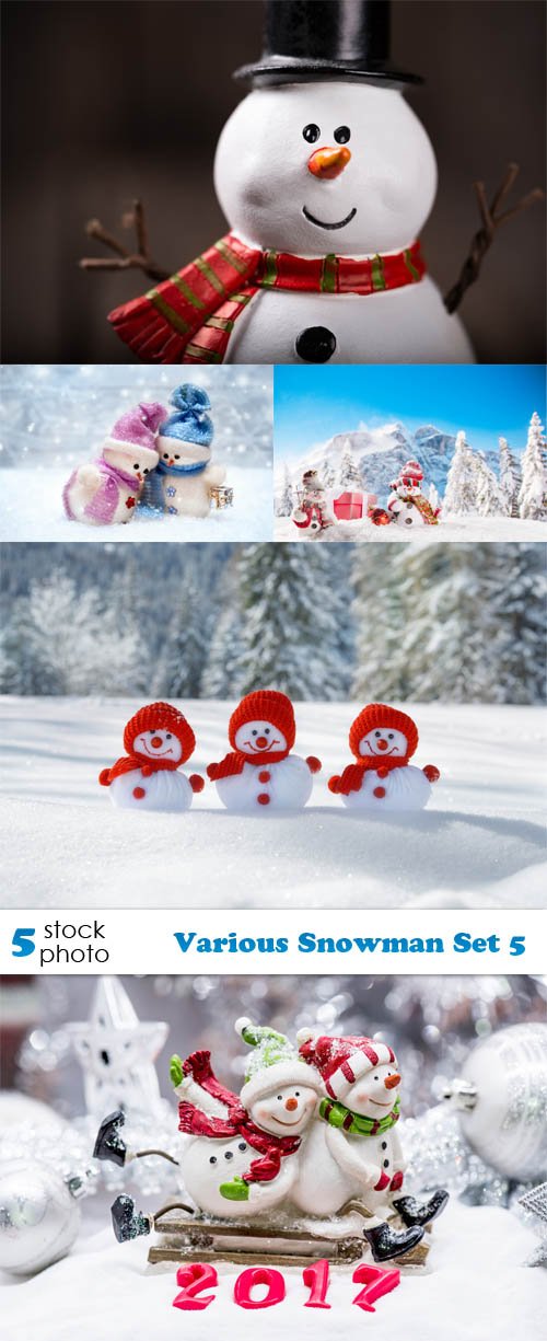 Photos - Various Snowman Set 5