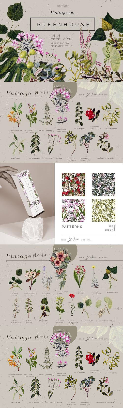 Greenhouse - Vintage Botanical Set - 5264466