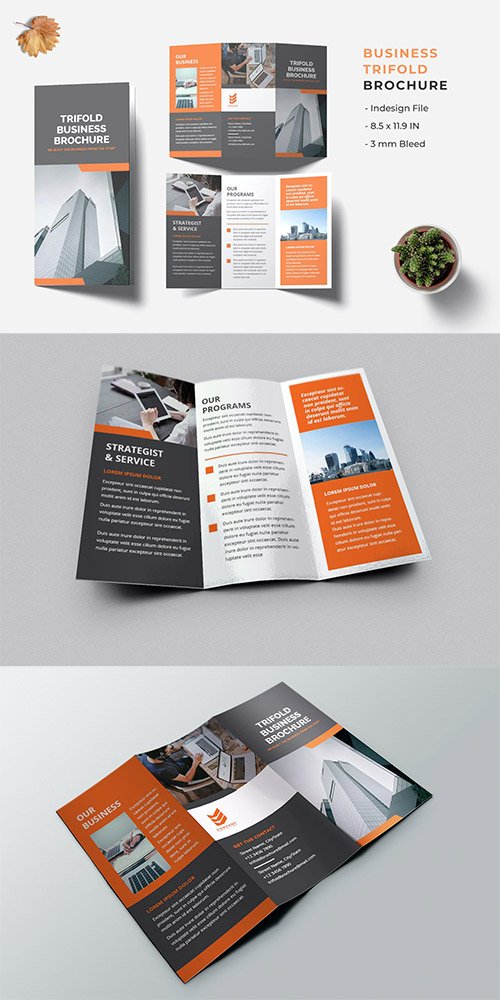 Strategist Business Trifold