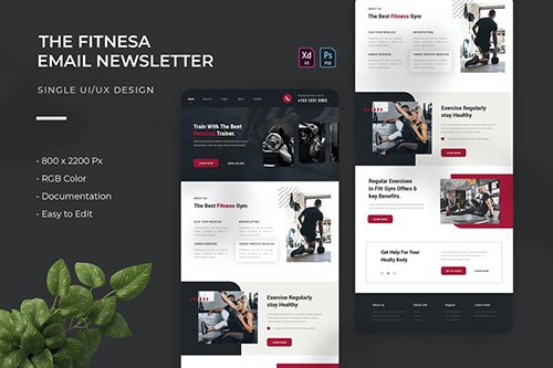 Fitnesa | Email Newsletter