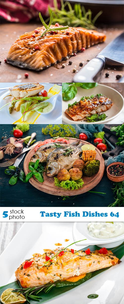 Photos - Tasty Fish Dishes 64