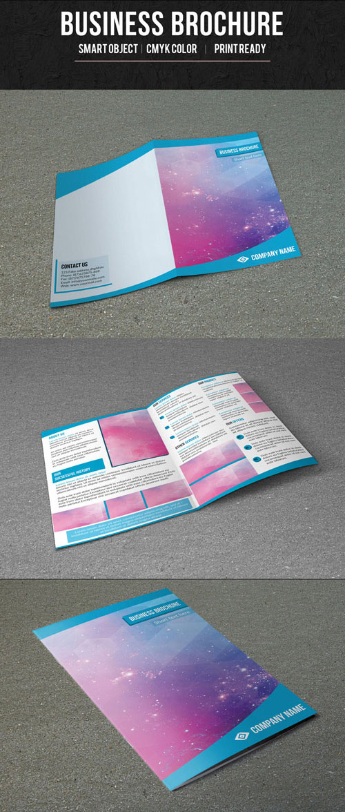 Single Fold Business Brochure with Blue Border Layout 1