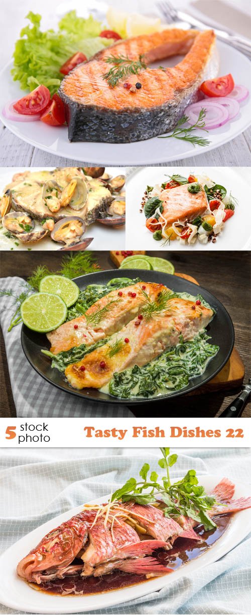 Photos - Tasty Fish Dishes 22