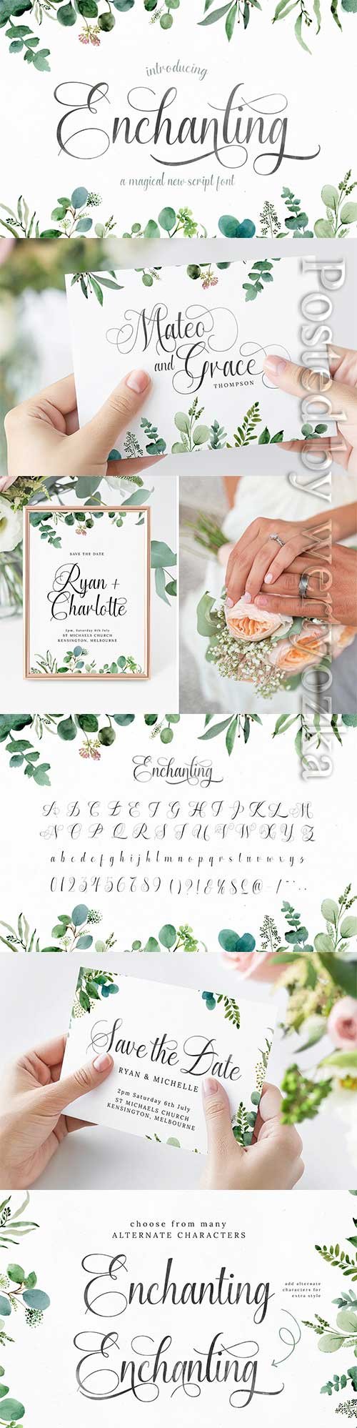 Enchanting Script Font