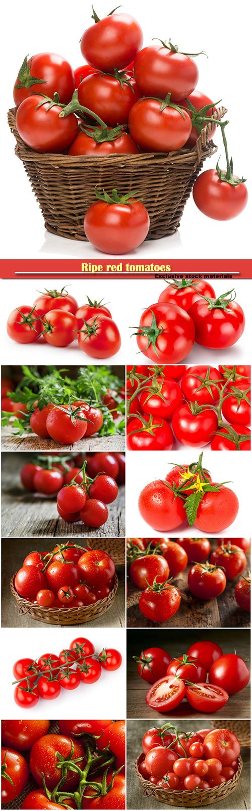 Photos - Ripe Red Tomatoes