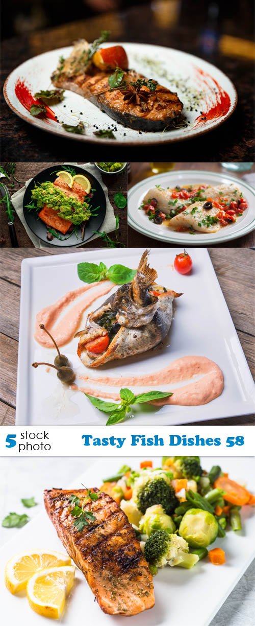 Photos - Tasty Fish Dishes 58