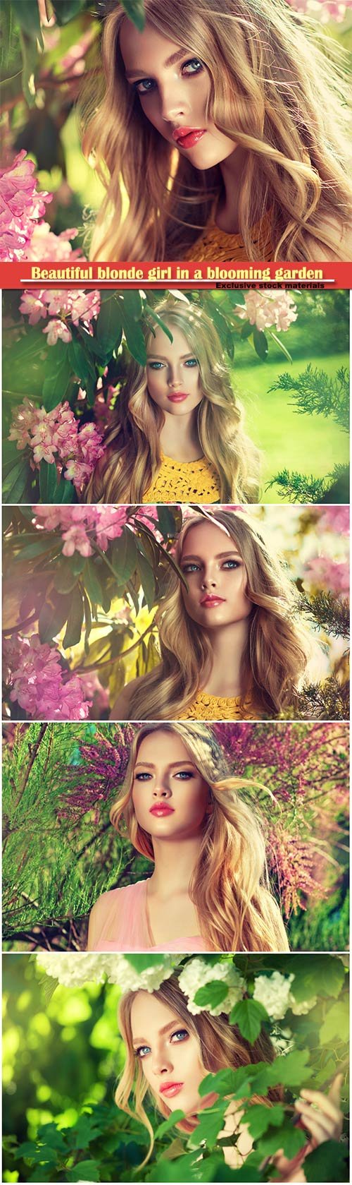 Beautiful blonde girl in a blooming garden