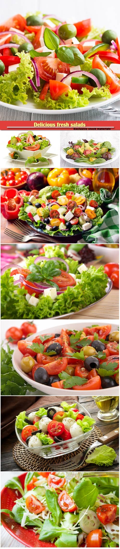 Delicious fresh salads