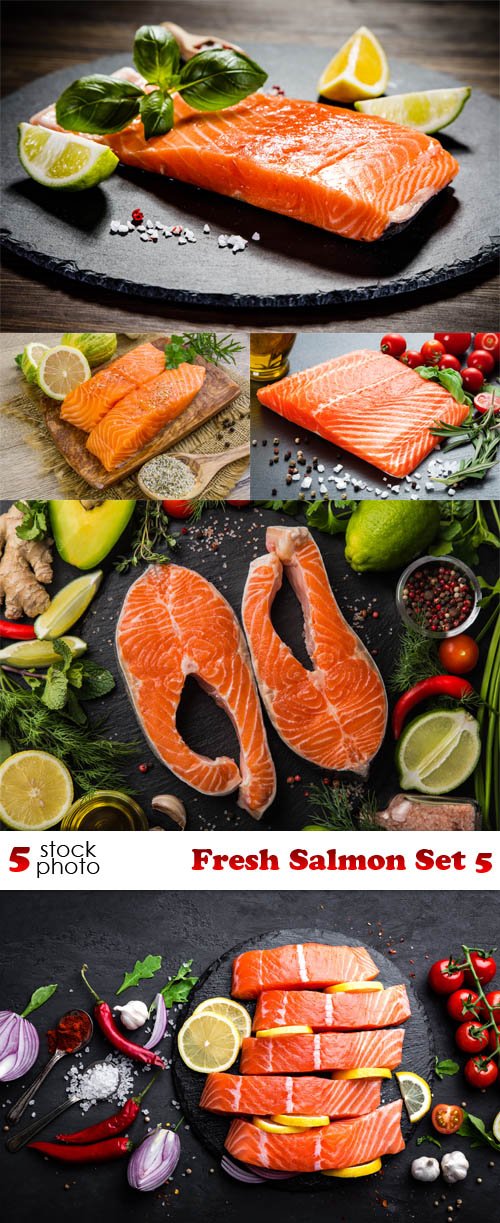 Photos - Fresh Salmon Set 5