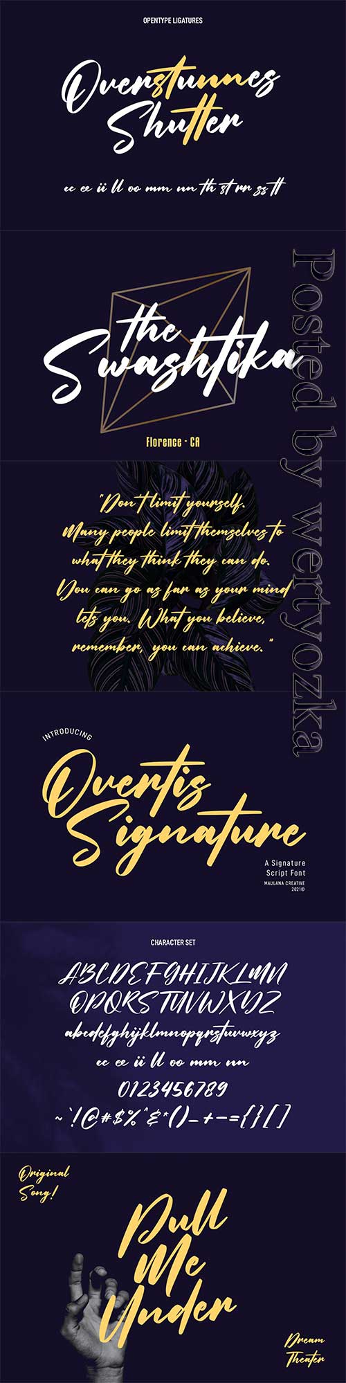 Overtis Signature Script Font 6361148